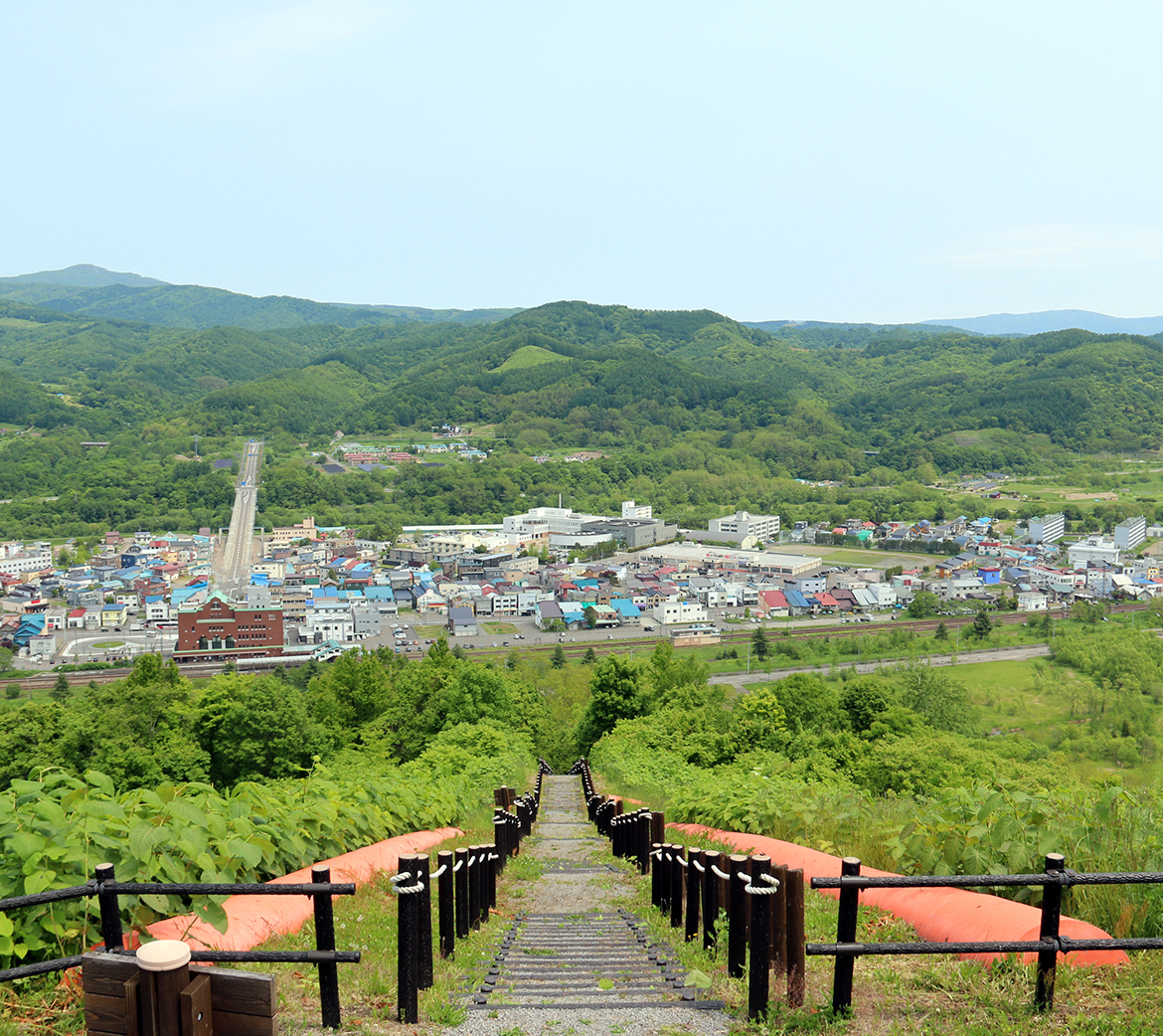 ふるさと納税 木の名刺 カバ 北海道赤平市